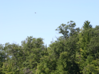 img_4986.jpg